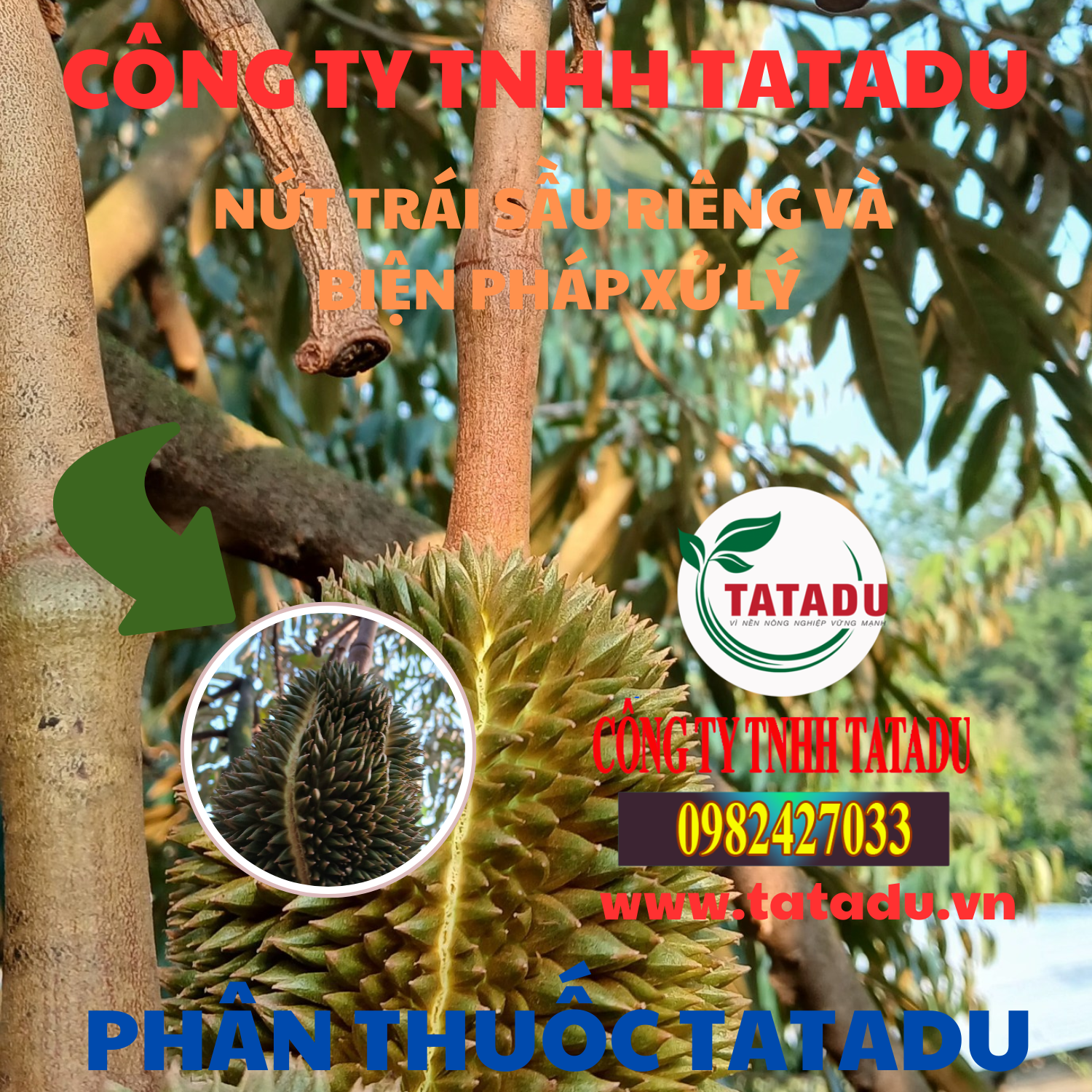 NUT TRAI SAU RIENG VA BIEN PHAP XU LY