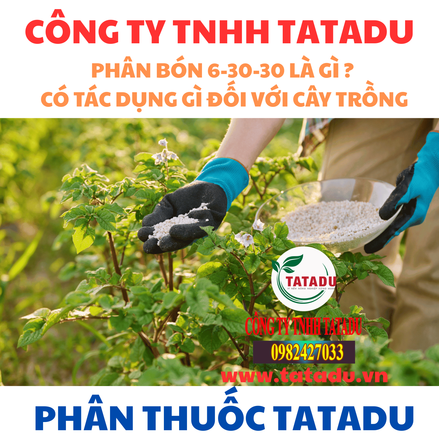 PHAN BON 6 30 30 LA GI CO TAC DUNG GI DOI VOI CAY TRONG