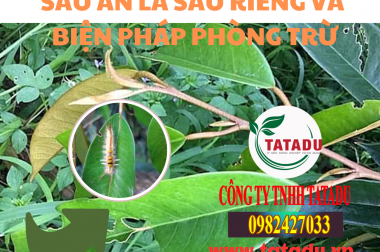 SÂU ĂN LÁ SẦU RIÊNG VÀ BIỆN PHÁP PHÒNG TRỪ