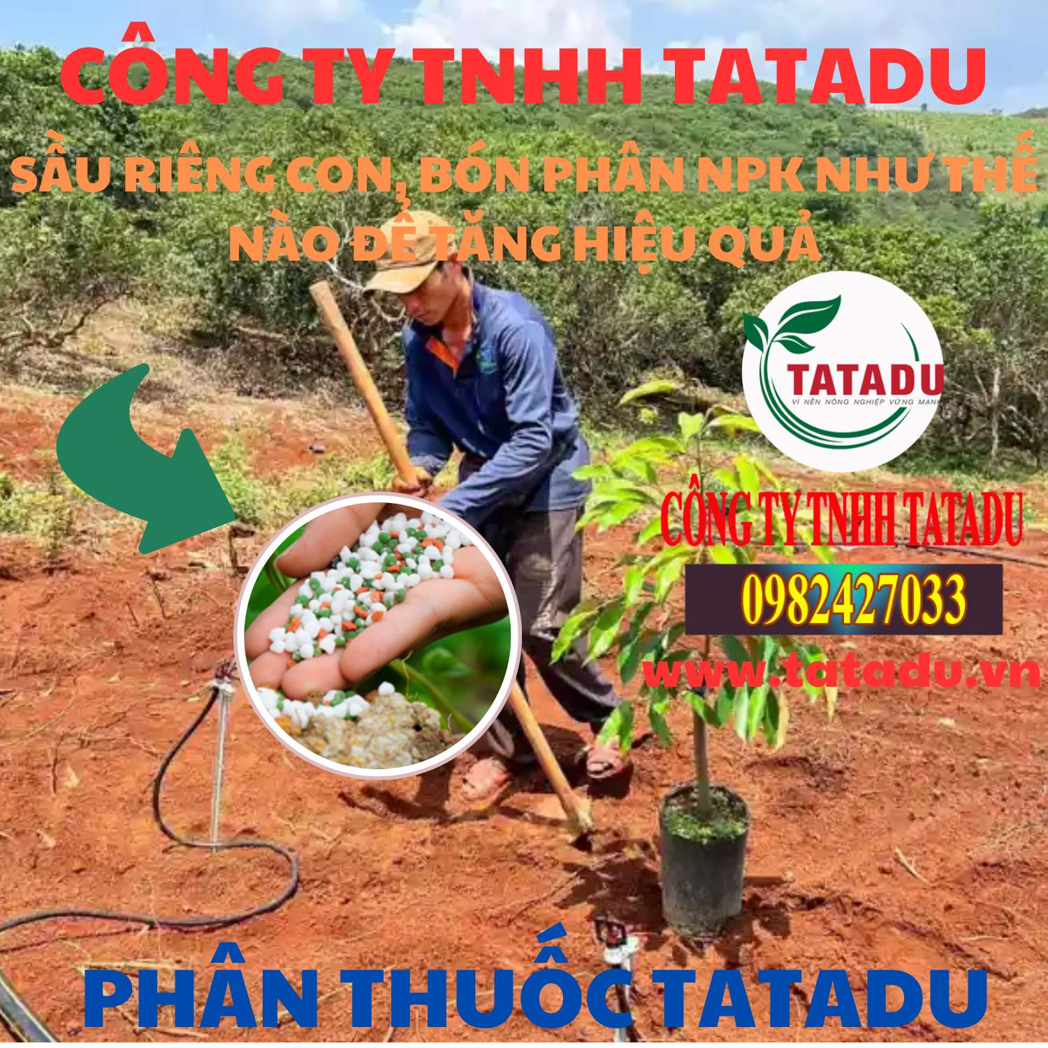 SAU RIENG CON BON PHAN NPK NHU THE NAO DE TANG HIEU QUA