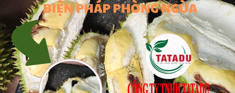 SAU RIENG RI6 BI CHAY MUI SUONG COM LA DO DAU VA BIEN PHAP PHONG NGUA