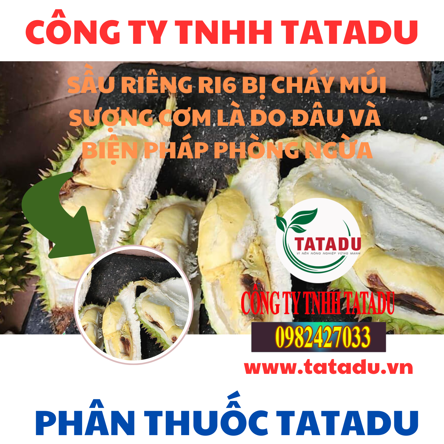 SAU RIENG RI6 BI CHAY MUI SUONG COM LA DO DAU VA BIEN PHAP PHONG NGUA