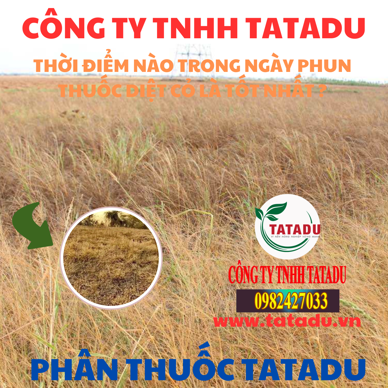 THOI DIEM NAO TRONG NGAY PHUN THUOC DIET CO LA TOT NHAT