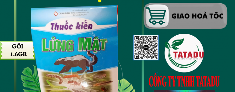THUOC KIEN LUNG MAT