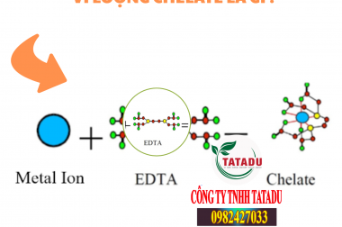 VI LƯỢNG CHELATE LÀ GÌ ?