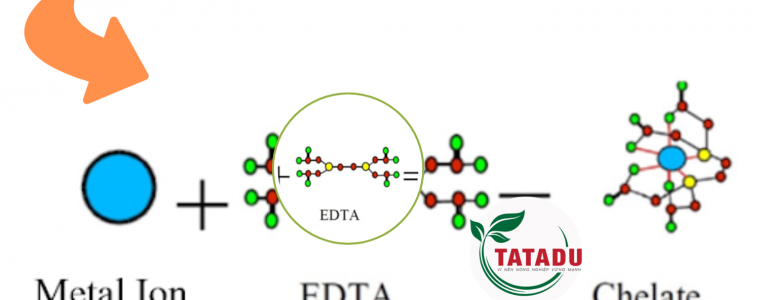 VI LUONG CHELATE LA GI