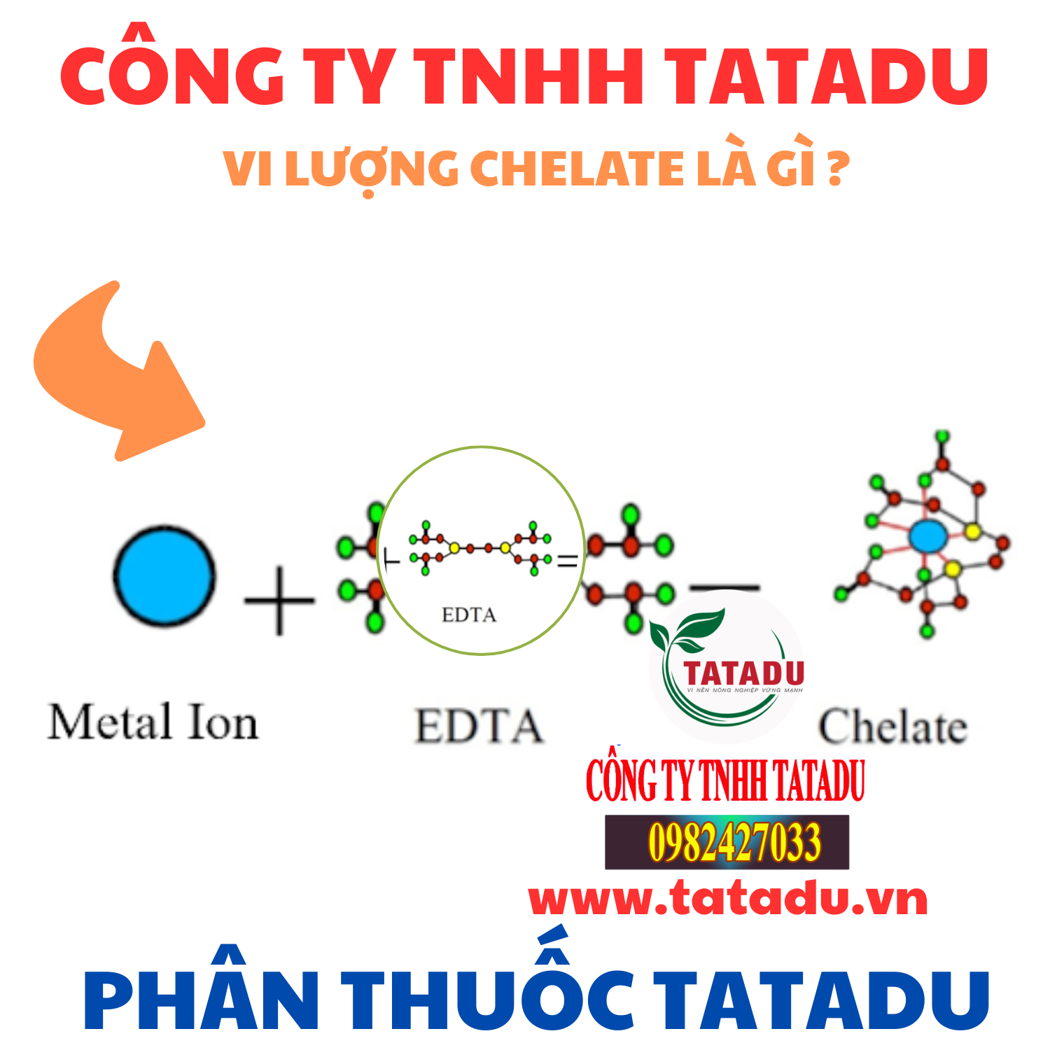 VI LUONG CHELATE LA GI
