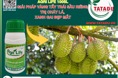 Agri Life 100SL: Giải Pháp Vàng Tẩy Trái Sầu Riêng, Trị Cháy Lá, Xanh Gai Đẹp Mắt