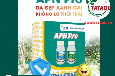 APN PRO: Giải Pháp Tối Ưu Trị Thối Trái Sầu Riêng – Da Đẹp Xanh Gai, Không Lo Bám Màu