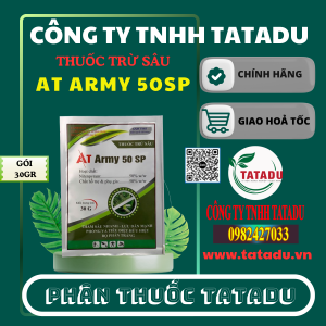 AT ARMY 50SP