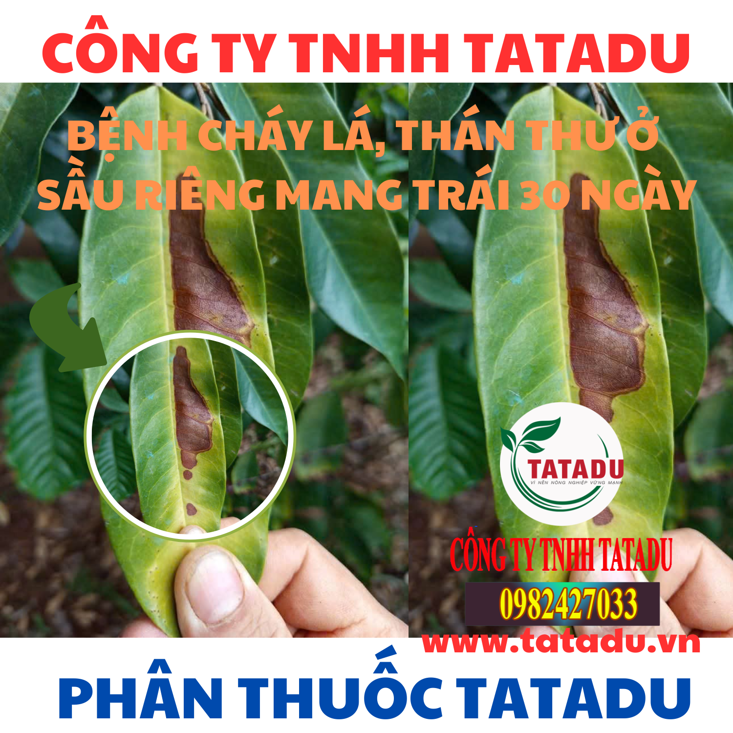 BENH CHAY LA THAN THU O SAU RIENG MANG TRAI 30 NGAY