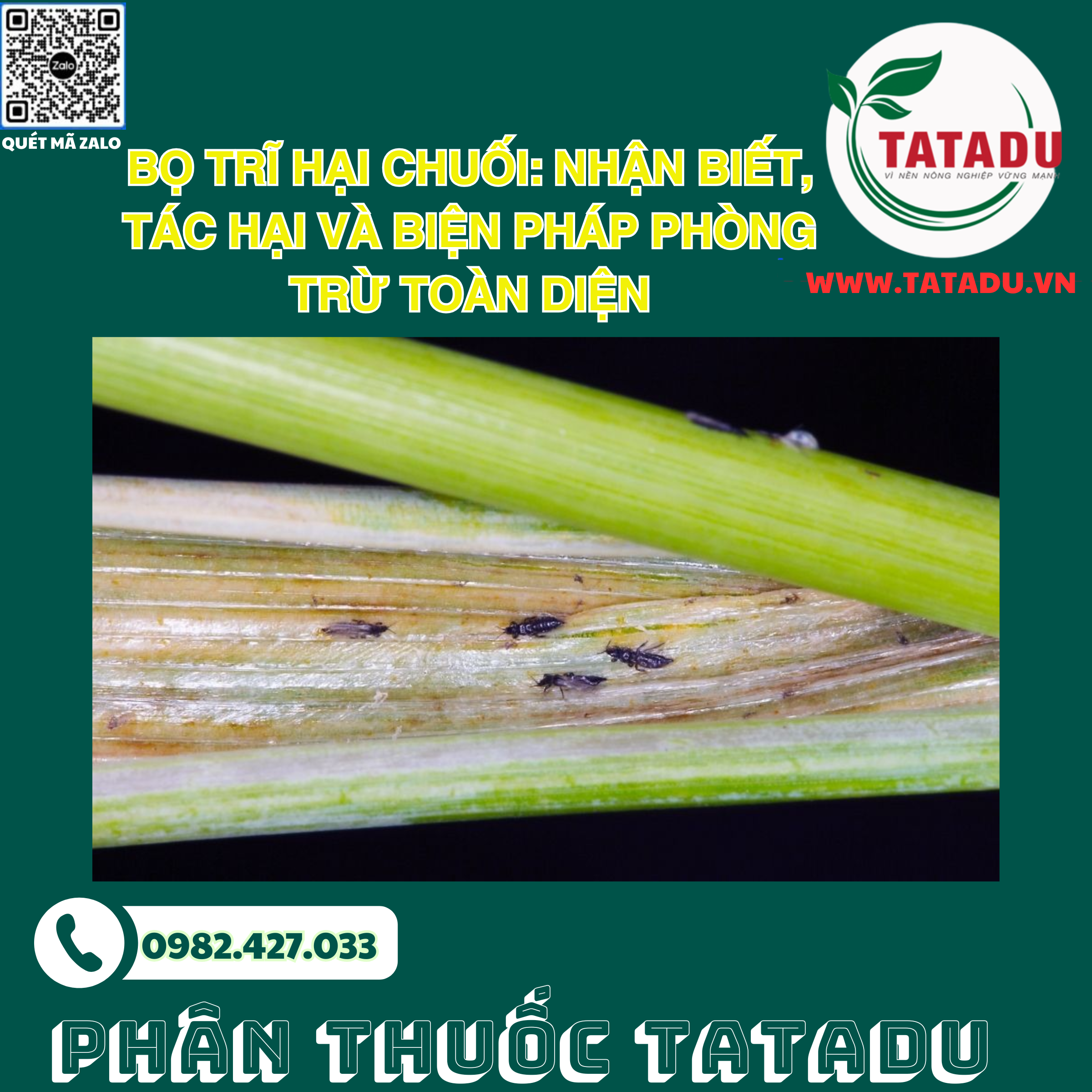BO TRI HAI CHUOI NHAN BIET TAC HAI VA BIEN PHAP PHONG TRU TOAN DIEN BO TRI HAI CHUOI NHAN BIET TAC HAI VA BIEN PHAP PHONG TRU TOAN DIEN
