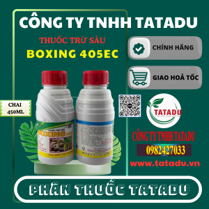 BOXING 405EC