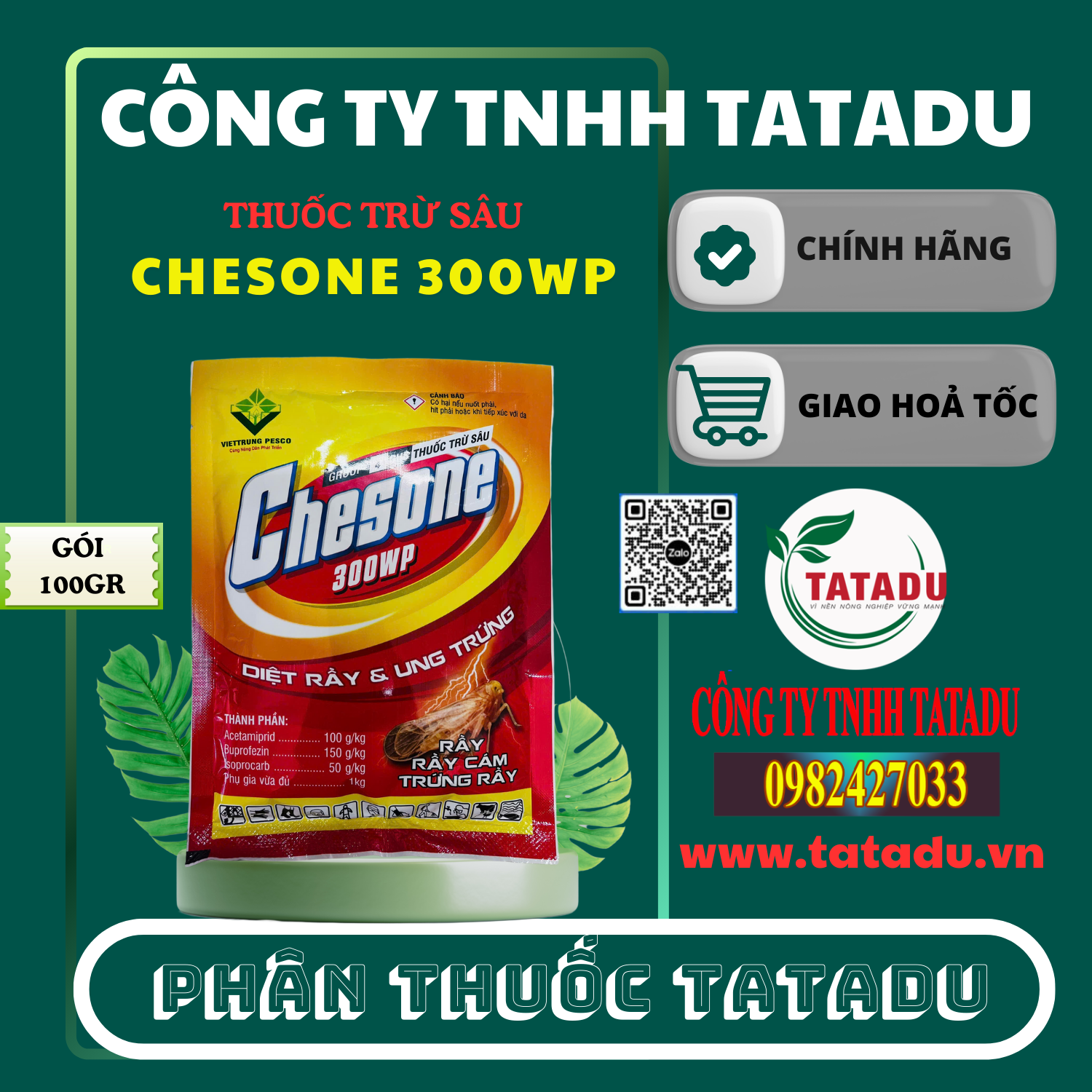 CHESONE 300WP