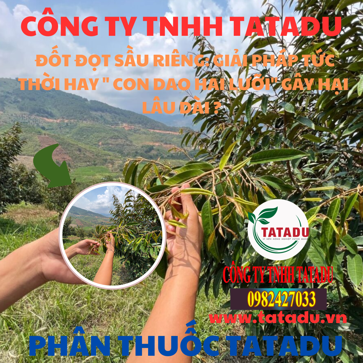 DOT DOT SAU RIENG GIAI PHAP TUC THOI HAY CON DAO HAI LUOI GAY HAI LAU DAI