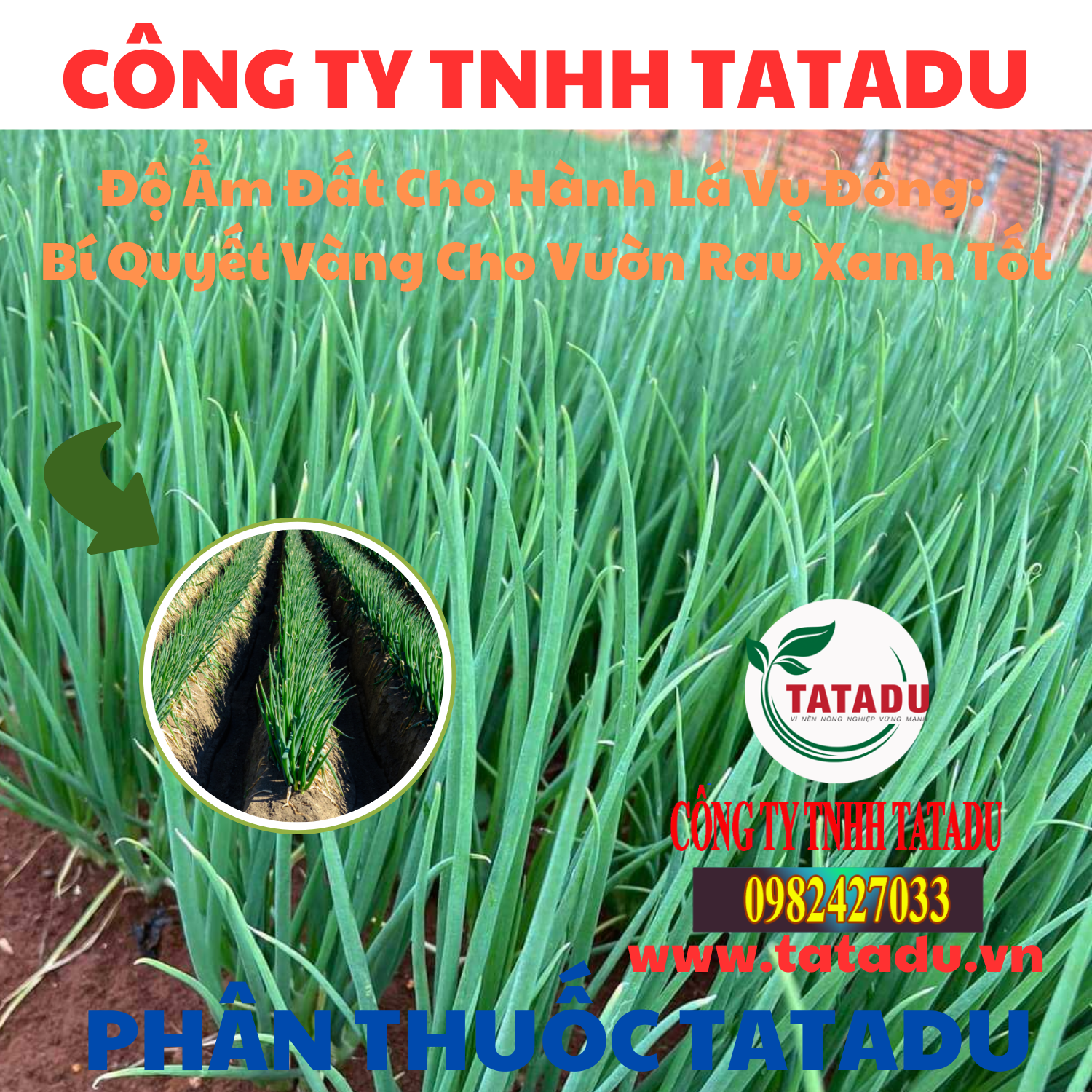 Do Am Dat Cho Hanh La Vu Dong Bi Quyet Vang Cho Vuon Rau Xanh Tot Do Am Dat Cho Hanh La Vu Dong Bi Quyet Vang Cho Vuon Rau Xanh Tot