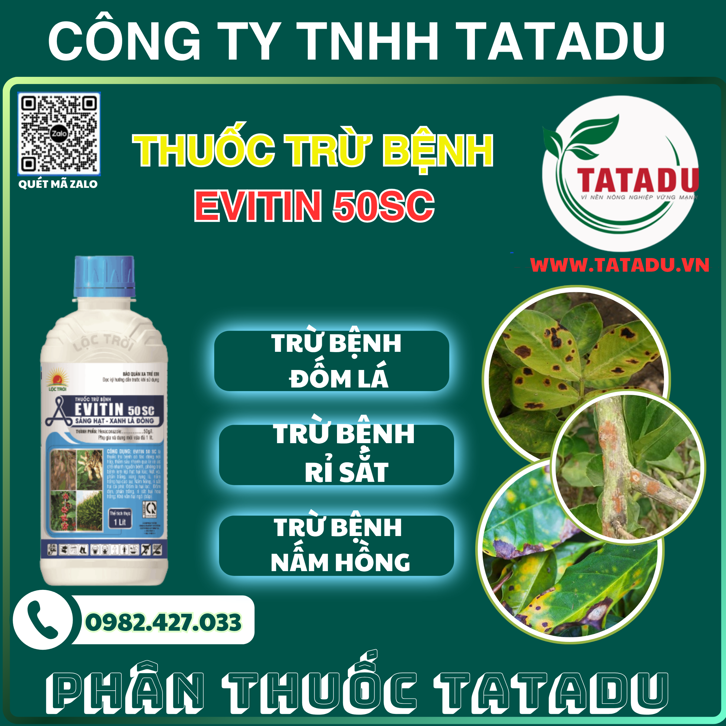 EVITIN 50SC DAC TRI BENH DOM LA RI SAT NAM HONG EVITIN 50SC DAC TRI BENH DOM LA RI SAT NAM HONG