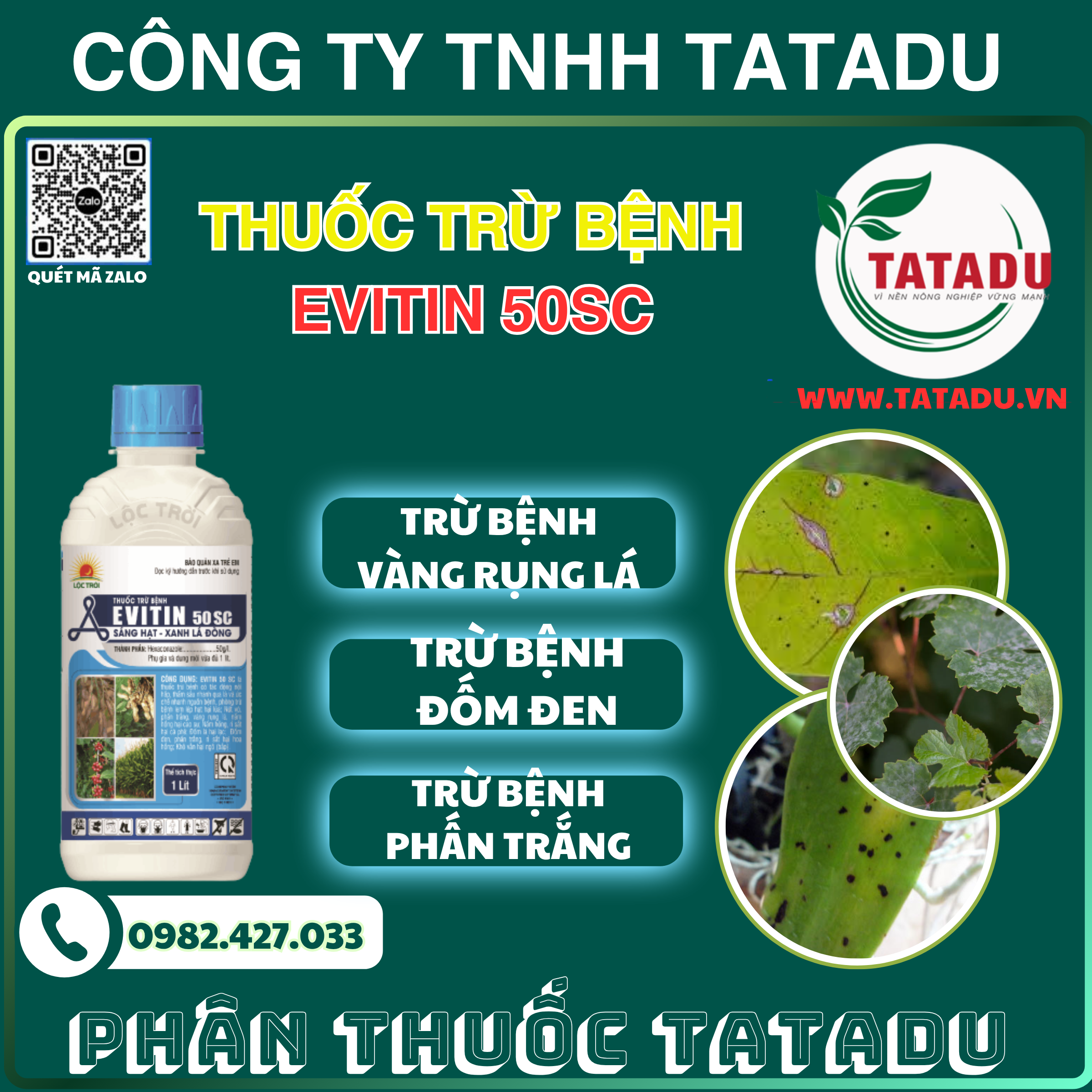 EVITIN 50SC DAC TRI BENH VANG RUNG LA DOM DEN PHAN TRANG EVITIN 50SC DAC TRI BENH VANG RUNG LA DOM DEN PHAN TRANG