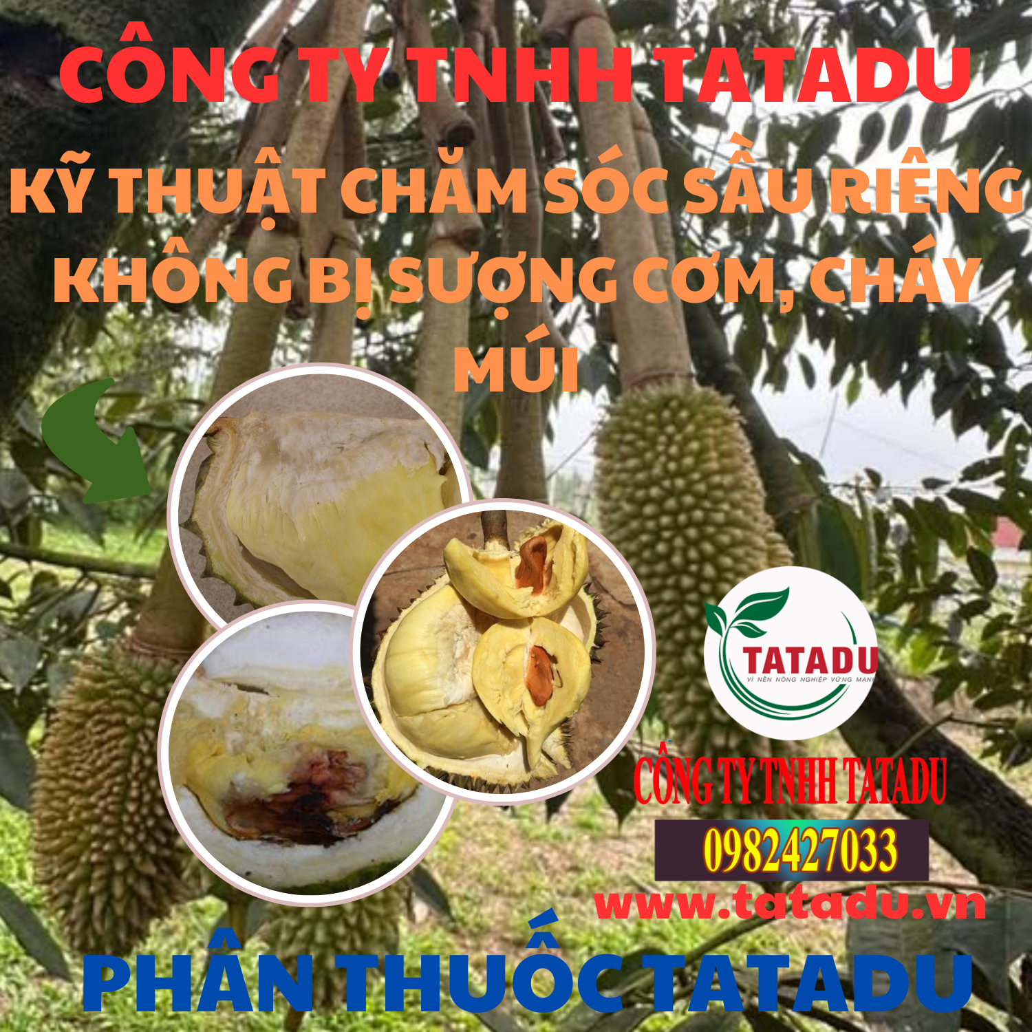 KY THUAT CHAM SOC SAU RIENG KHONG BI SUONG COM CHAY MUI