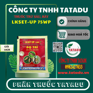 LKSET UP 75WP 1