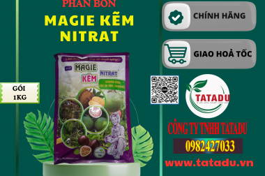 MAGIE KẼM NITRAT CHO SẦU RIÊNG: BÍ QUYẾT VÀNG CHO VƯỜN CÂY TRĨU, LÁ XANH BỀN LÂU