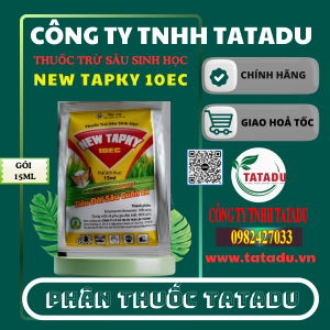 NEW TAPKY 10EC