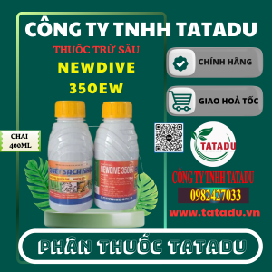 NEWDIVE 350EW
