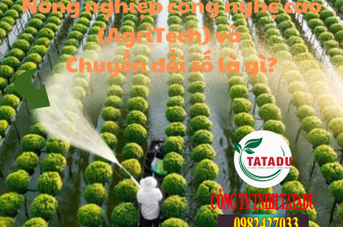 NÔNG NGHIỆP CÔNG NGHỆ CAO (AGRITECH) VÀ CHUYỂN ĐỔI SỐ: TƯƠNG LAI BỀN VỮNG CHO NÔNG NGHIỆP VIỆT NAM