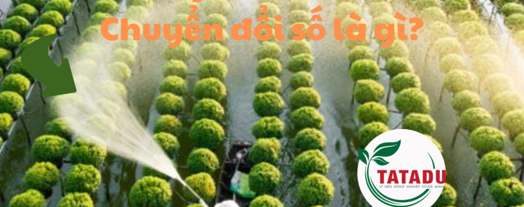 Nong nghiep cong nghe cao AgriTech va Chuyen doi so la gi