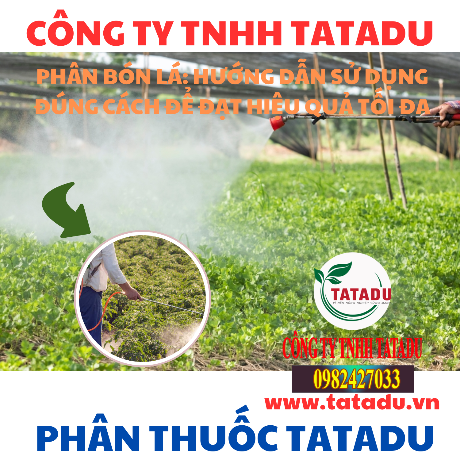 PHAN BON LA HUONG DAN SU DUNG DUNG CACH DE DAT HIEU QUA TOI DA PHAN BON LA HUONG DAN SU DUNG DUNG CACH DE DAT HIEU QUA TOI DA