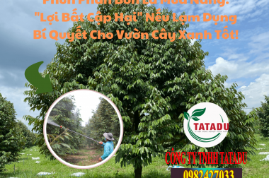 Phun Phân Bón Lá Mùa Nắng: “Lợi Bất Cập Hại” Nếu Lạm Dụng – Bí Quyết Cho Vườn Cây Xanh Tốt!
