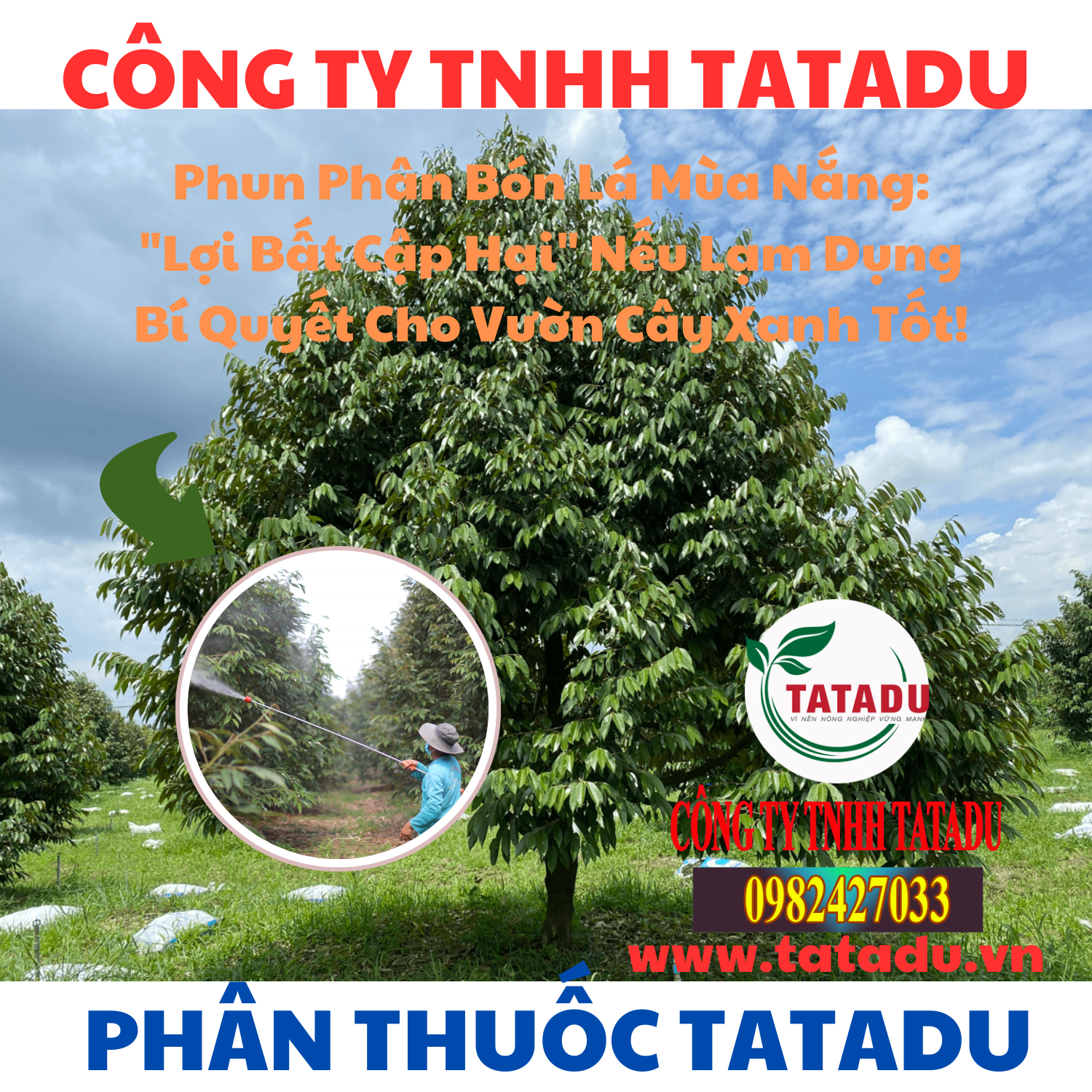 Phun Phan Bon La Mua Nang Loi Bat Cap Hai Neu Lam Dung – Bi Quyet Cho Vuon Cay Xanh Tot