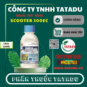 SCOOTER 300EC CHAI 250ML