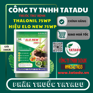 THALONIL 75WP HIỆU ELO NEW 75WP