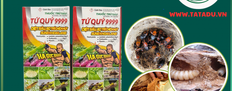 TU QUY 9999 BOXING 99.99EW HA GUC NHANH DUONG DUA