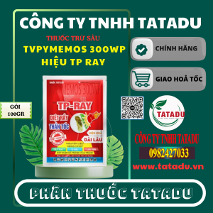TVPYMEMOS 300WP HIEU TP RAY