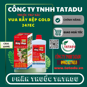 VUA RAY REP GOLD 247EC