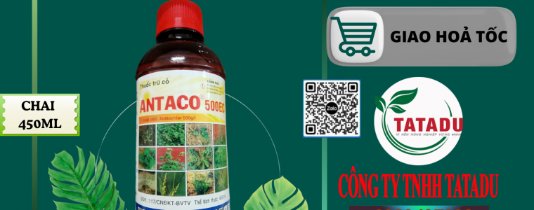 ANTACO 500EC