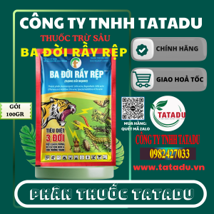 BA DOI RAY REP