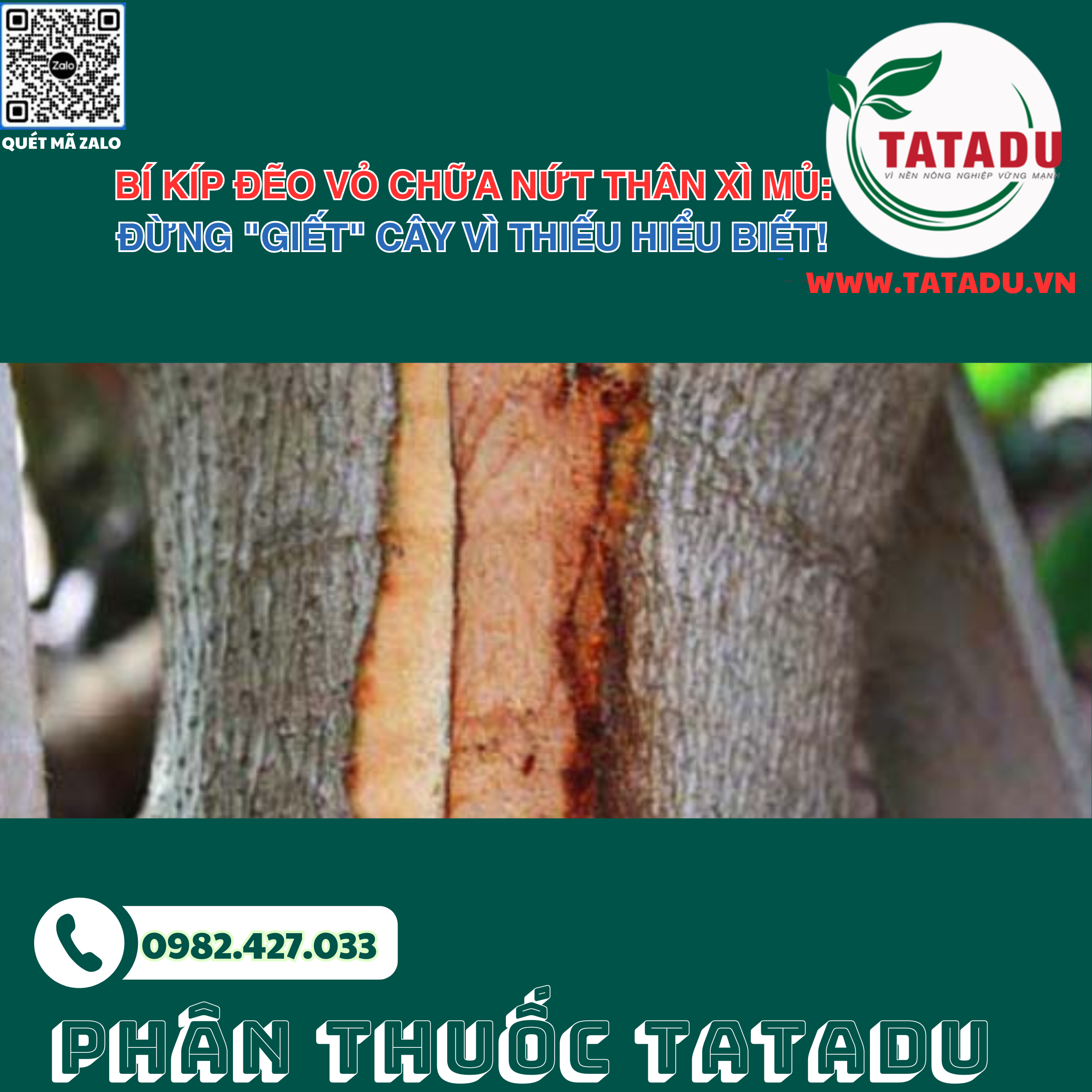 BI KIP DEO VO CHUA NUT THAN XI MU DUNG GIET CAY VI THIEU HIEU BIET