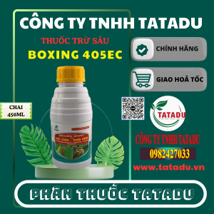 BOXING 405EC HIEU DUC THAN MUOI HANH