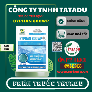 BYPHAN 800WP