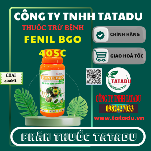 FENIL BGO 40SC