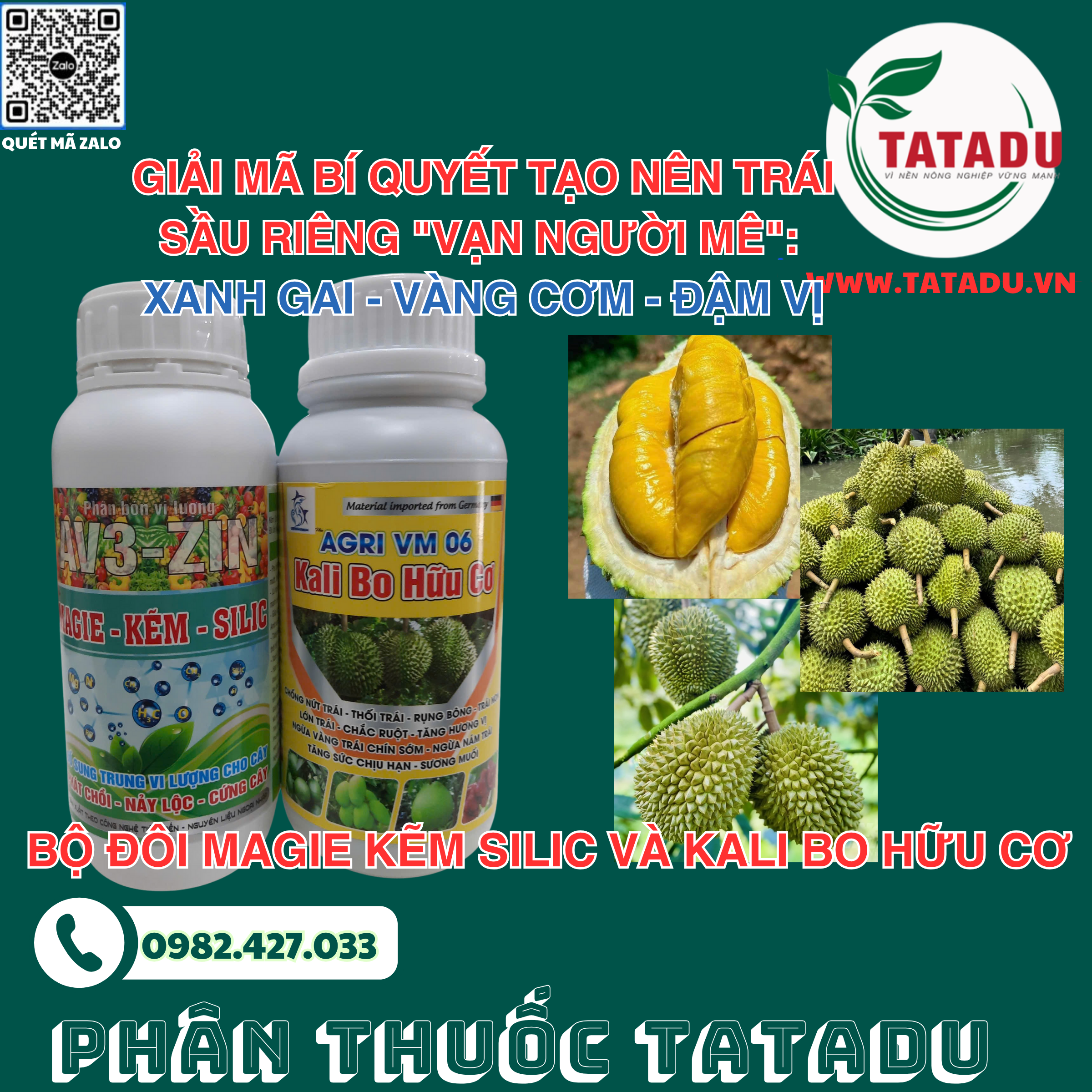 GIẢI MÃ BÍ QUYẾT TẠO NÊN TRÁI SẦU RIÊNG "VẠN NGƯỜI MÊ": XANH GAI - VÀNG CƠM - ĐẬM VỊ