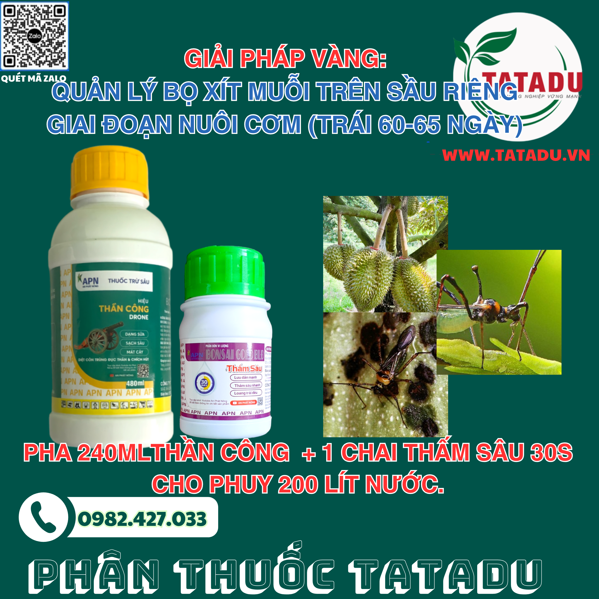 GIAI PHAP VANG QUAN LY BO XIT MUOI TREN SAU RIENG GIAI DOAN NUOI COM TRAI 60 65 NGAY 1
