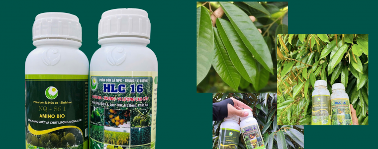 HLC 16 AMINO BIO BO DOI SIEU PHUC HOI KEO COI SAU RIENG