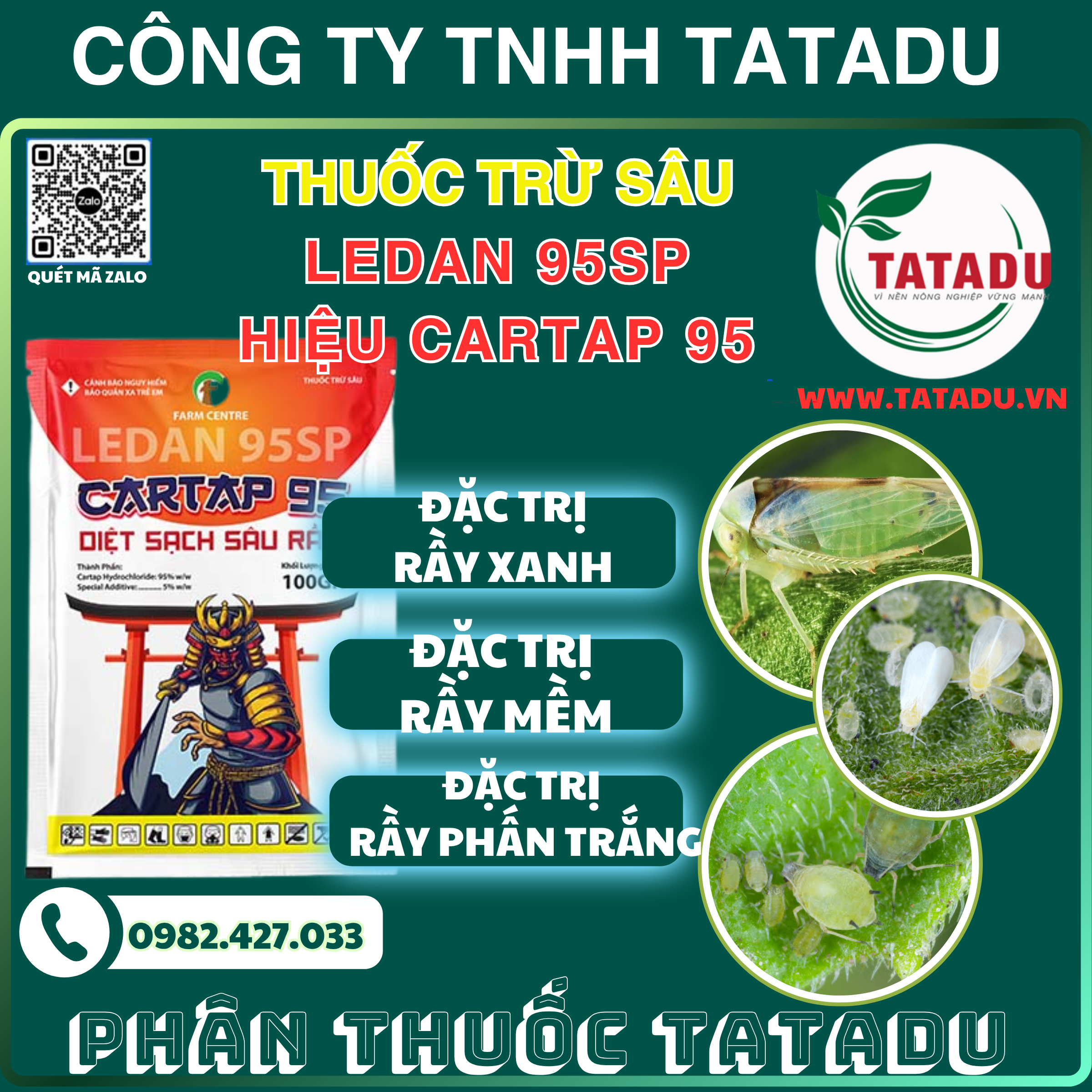 LEDAN 95SP HIEU CARTAP 95 DAC TRI RAY XANH RAY MEM RAY PHAN TRANG LEDAN 95SP HIEU CARTAP 95 DAC TRI RAY XANH RAY MEM RAY PHAN TRANG