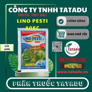 LINO PESTI 80EC