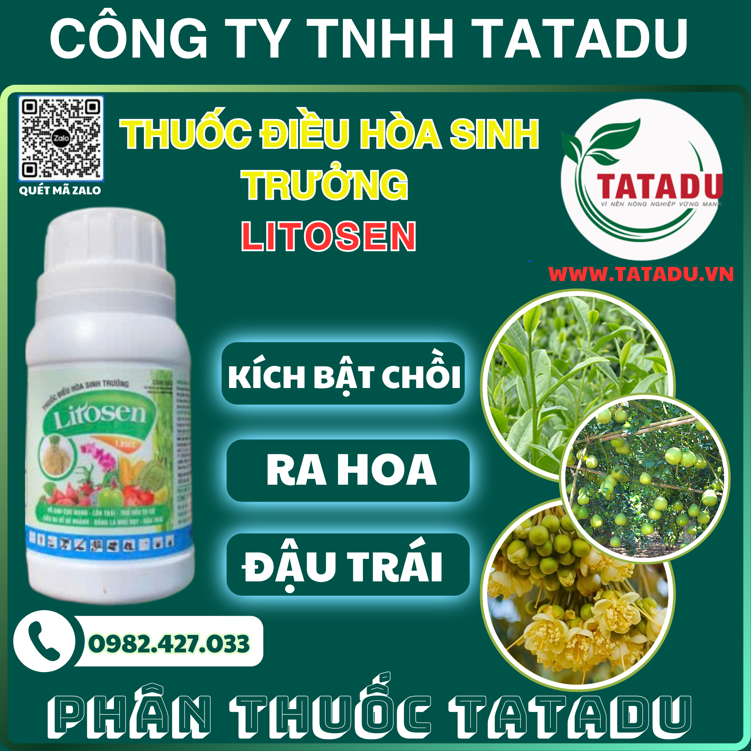 LITOSEN KICH BAT CHOI RA HOA DAU TRAI LITOSEN KICH BAT CHOI RA HOA DAU TRAI