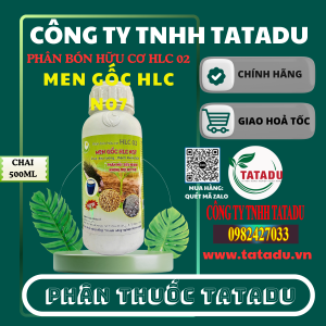 MEN GOC HLC N07
